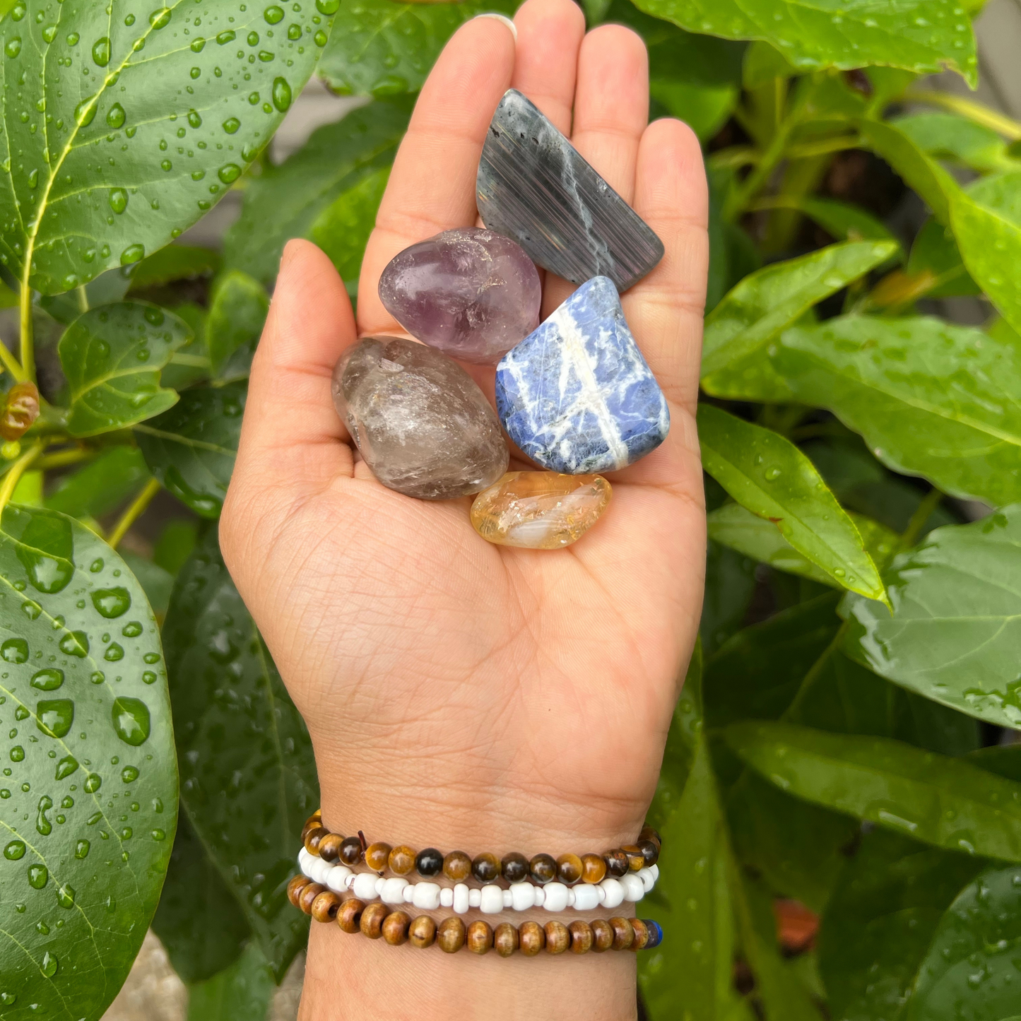 Zodiac Crystal Bag