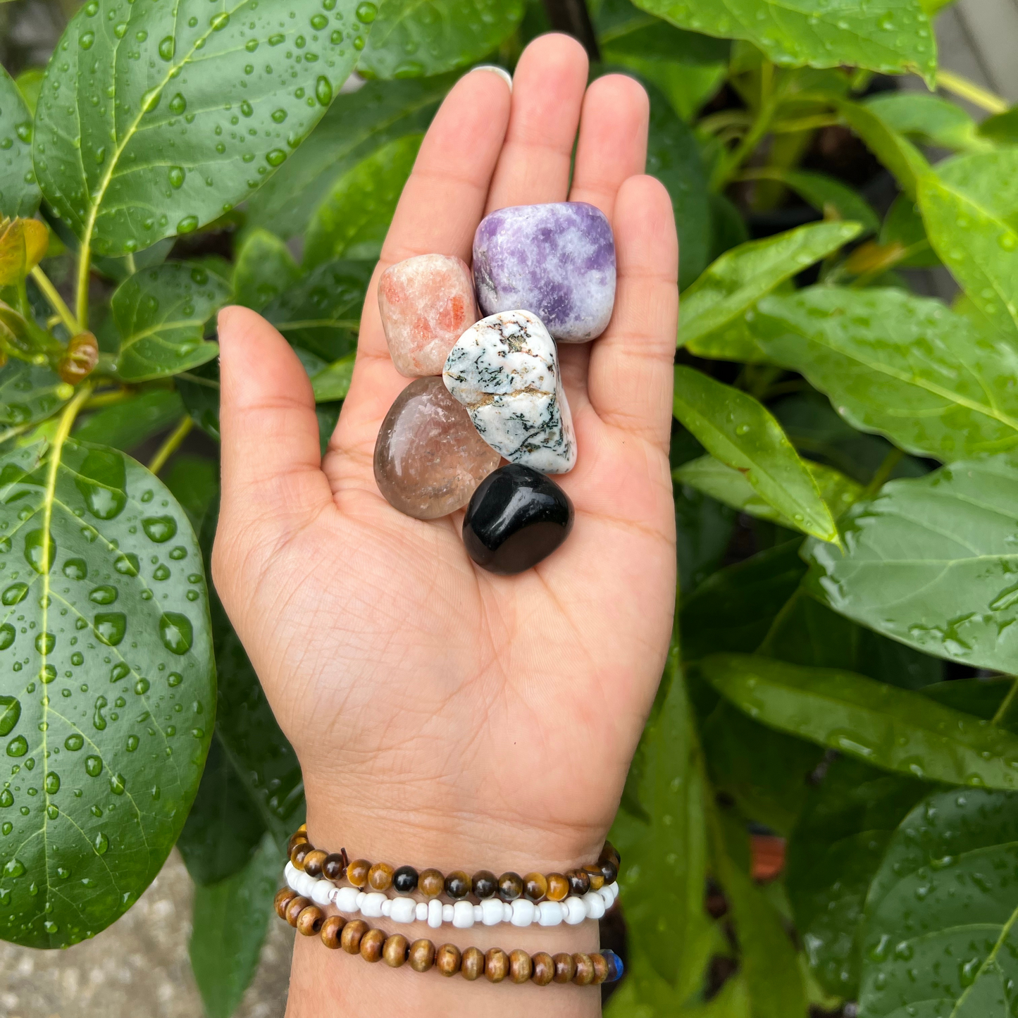 Zodiac Crystal Bag